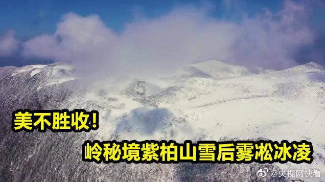 旅行串串最后悔的事怎么合成游戏画面